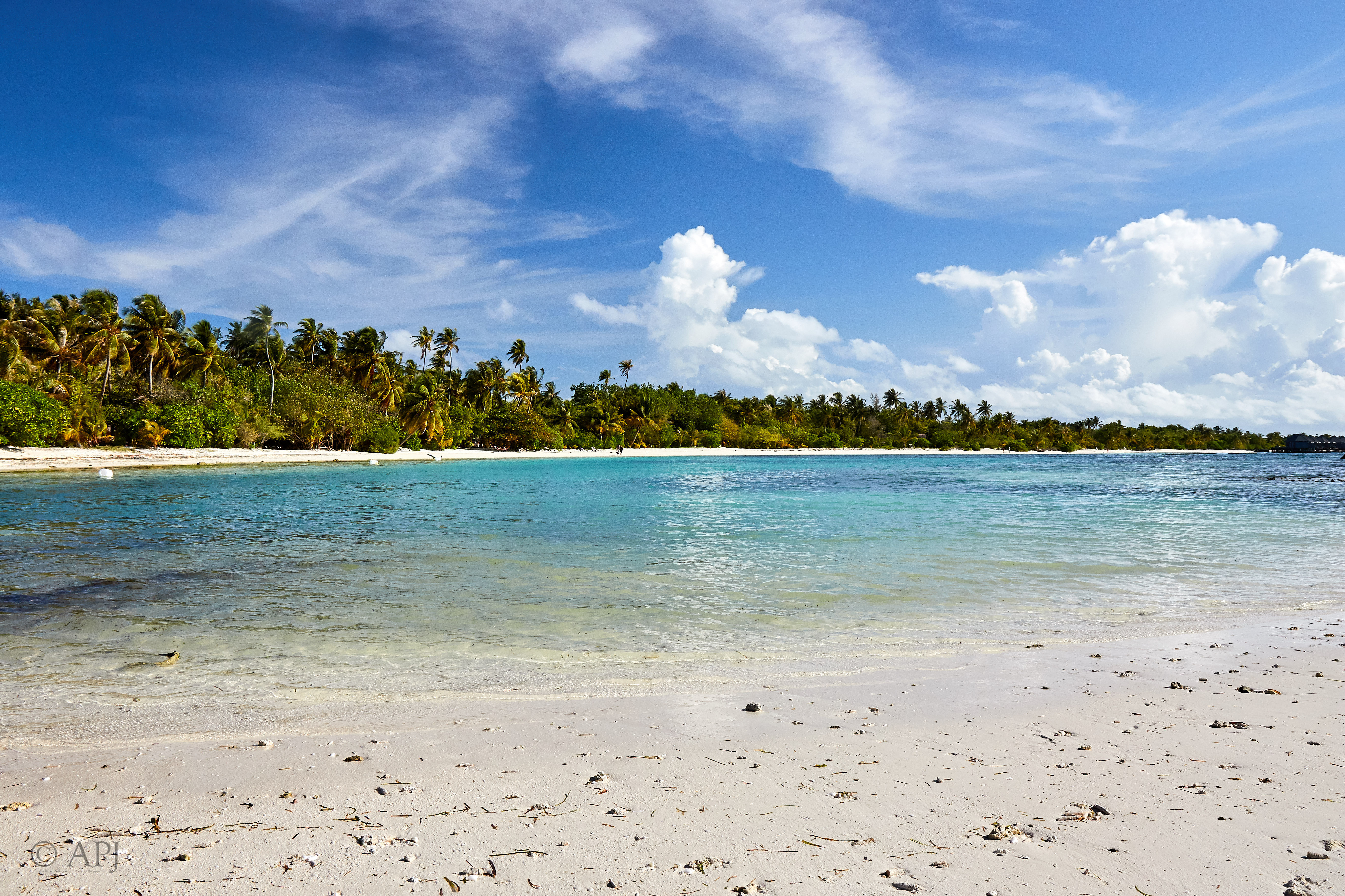 003995 21 08 17  Canon EOS 7D Mark II   Malediven2017